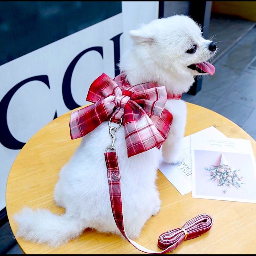 Red Plaid Dog Harness and Leash Set Elegant Bow Vest Set XL 6-8 Kg